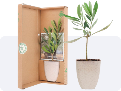 plantjes fr