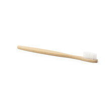 Spazzolino da denti | Bamboo | Scatola ecologica | 156362 