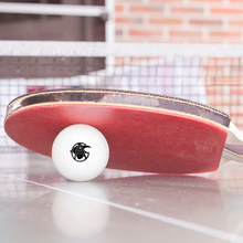 Palle da ping-pong bianche | Con stampa a colori | 113005 